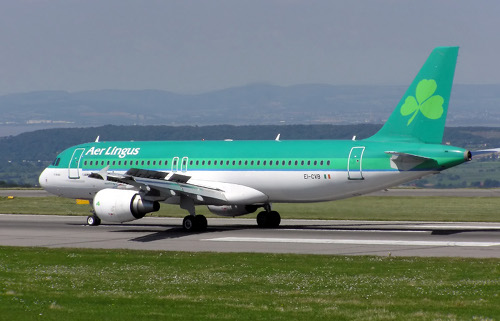 Voli low cost per l’Irlanda e per gli Stati Uniti con Aer Lingus