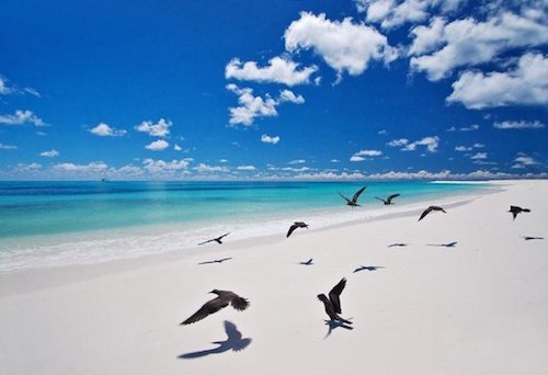 bird-island-west-beach