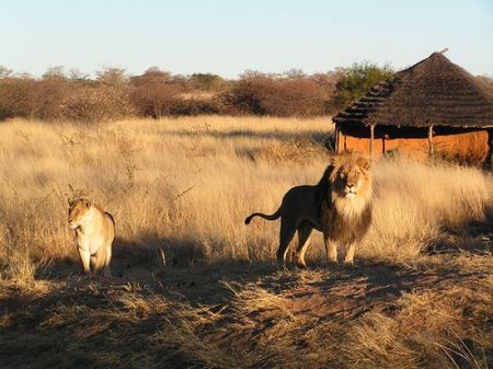 Namibia