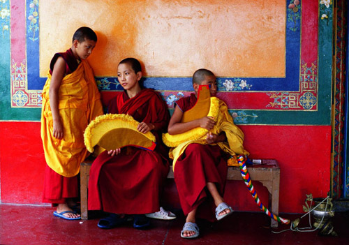 himalaya-tibet-image