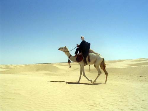 sahara-africa-tunisia