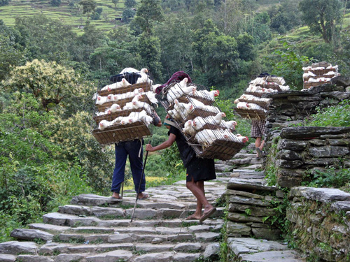 Nepal: tour nell’incantevole circuito dell’Annapurna
