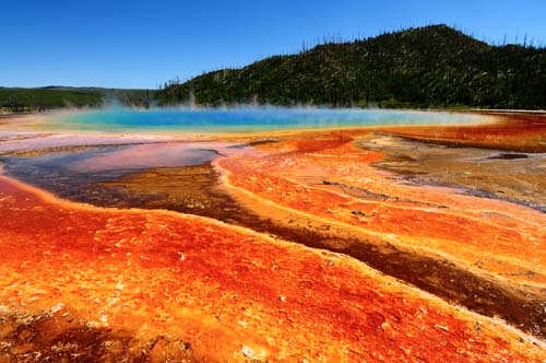 Parco Yellowstone