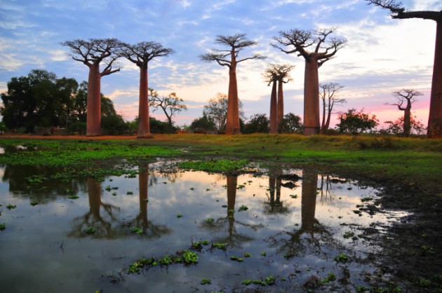 I luoghi da non perdere in Madagascar