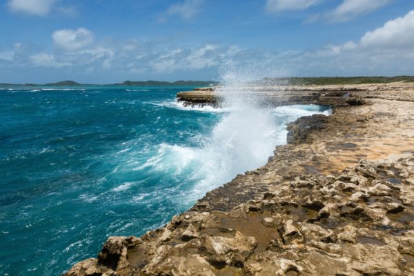 mare antigua