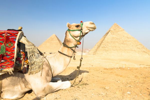piramidi Egitto