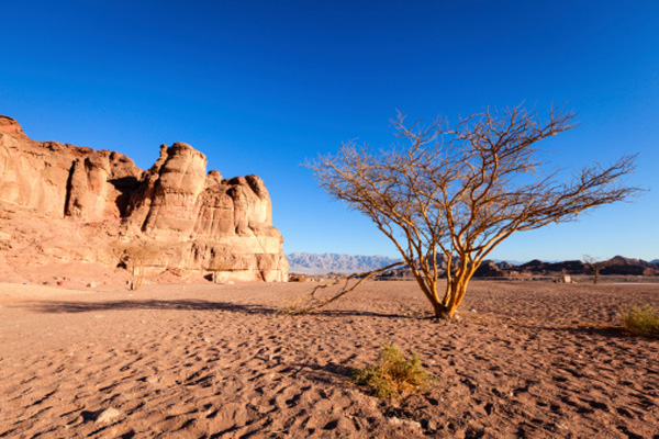 deserto negev