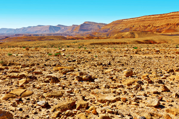 israele deserto