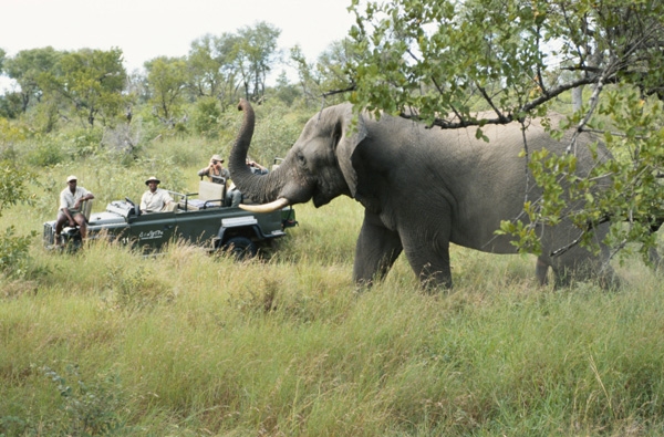 parchi nazionali sudafrica