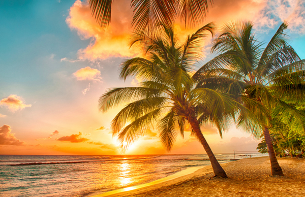 Barbados insolita: 5 luoghi alternativi da visitare