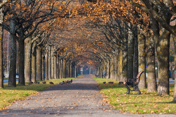 autunno estonia