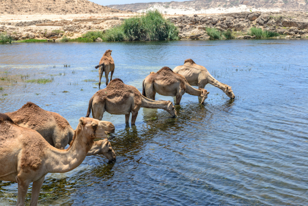 oman escursioni e atttrazioni