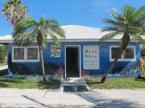 Reef Oasis Viva Bahamas - dive center