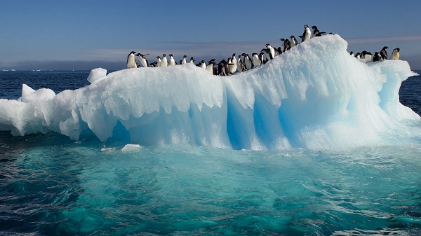 Antartide, da visitare almeno una volta nella vita